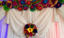 cropped-Fiesta_1-1.jpg